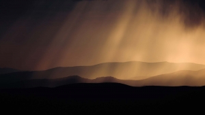 Zu Lebzeiten Hintergrund